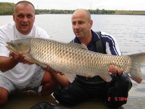 Partide de pescuit  - La Vernescu, acum vreo 4 ani - impreuna cu Cezar Bicu - un cteno de 14 kg care ne-a rupt 2 mincioage Fox ))))
 